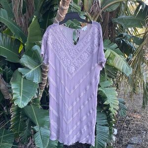 Sundance sheer lace embroidered dress